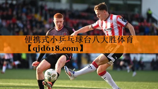 便携式小乒乓球台八大胜体育