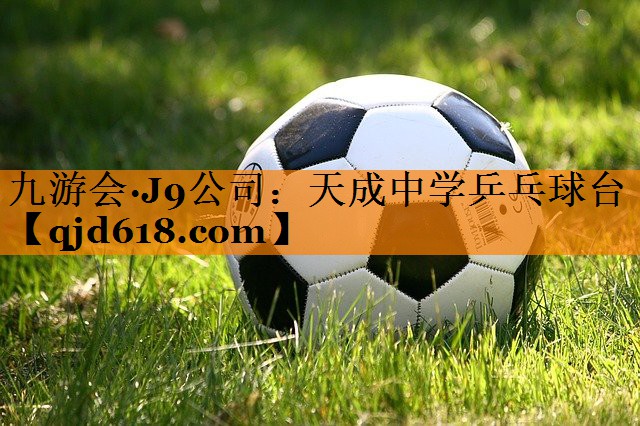 天成中学乒乓球台