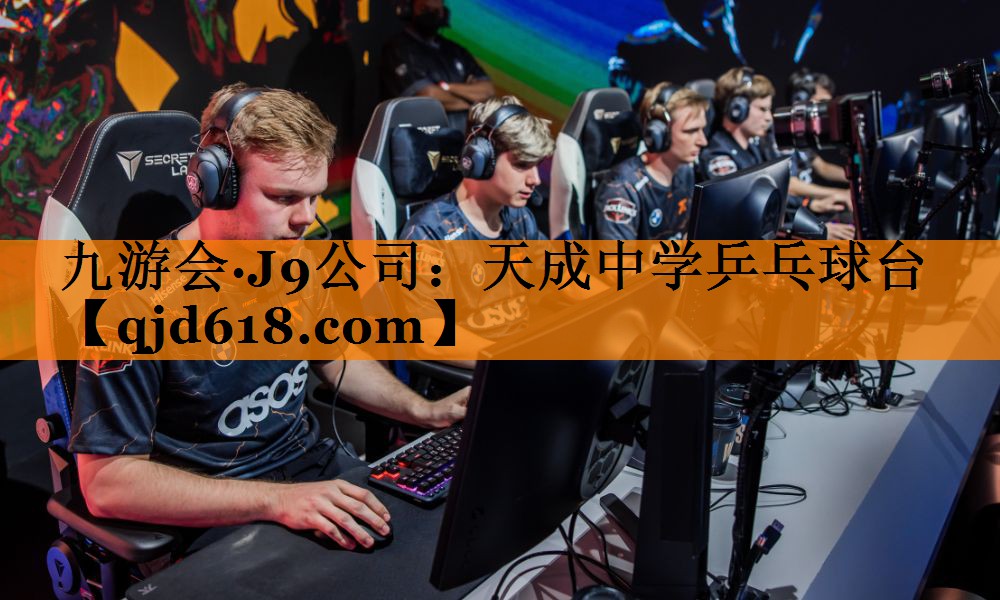 天成中学乒乓球台